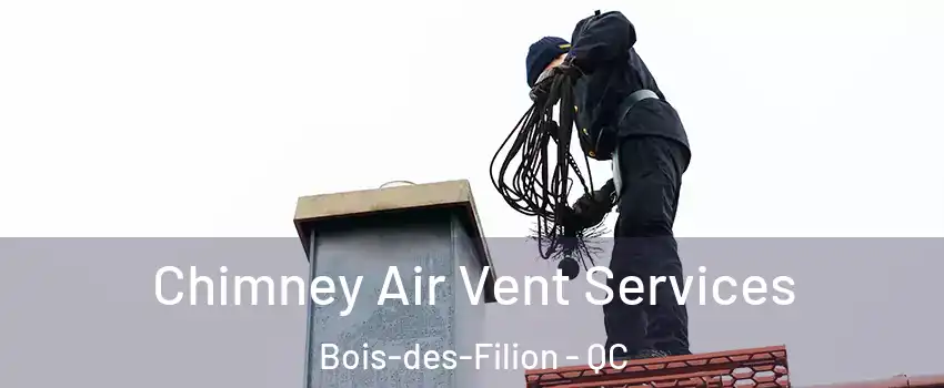  Chimney Air Vent Services Bois-des-Filion - QC
