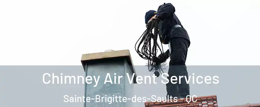  Chimney Air Vent Services Sainte-Brigitte-des-Saults - QC