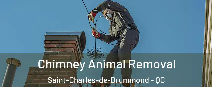 Chimney Animal Removal Saint-Charles-de-Drummond - QC