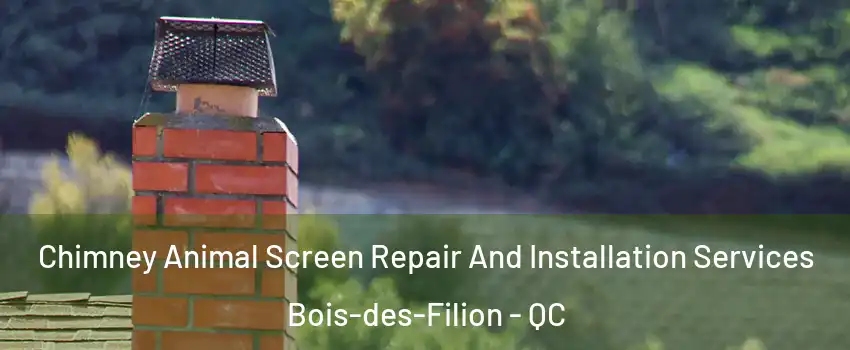  Chimney Animal Screen Repair And Installation Services Bois-des-Filion - QC
