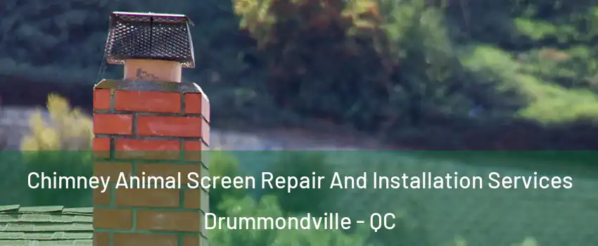  Chimney Animal Screen Repair And Installation Services Drummondville - QC
