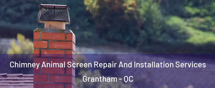  Chimney Animal Screen Repair And Installation Services Grantham - QC