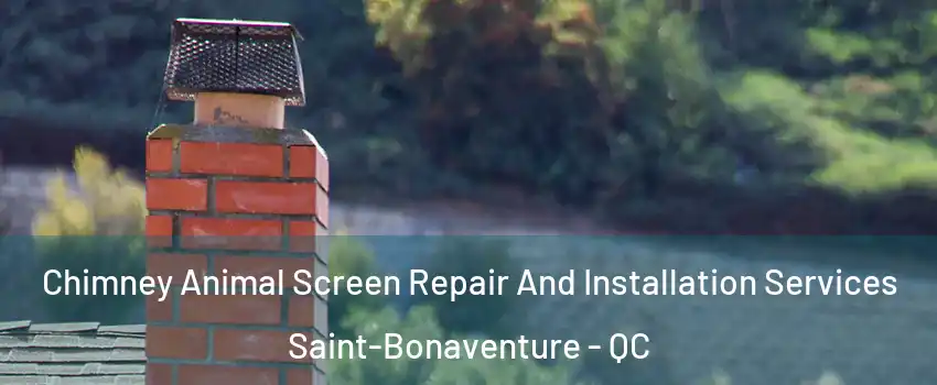  Chimney Animal Screen Repair And Installation Services Saint-Bonaventure - QC