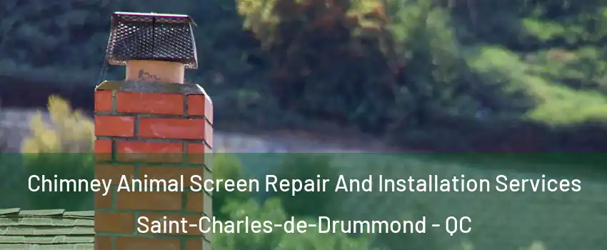 Chimney Animal Screen Repair And Installation Services Saint-Charles-de-Drummond - QC