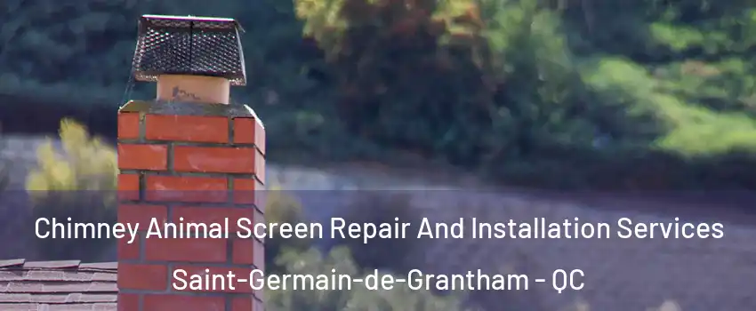  Chimney Animal Screen Repair And Installation Services Saint-Germain-de-Grantham - QC