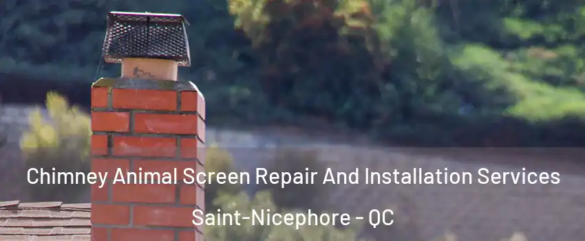  Chimney Animal Screen Repair And Installation Services Saint-Nicephore - QC