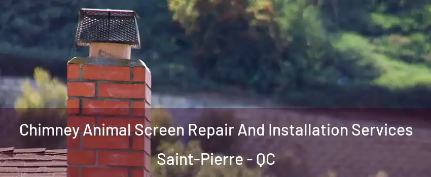  Chimney Animal Screen Repair And Installation Services Saint-Pierre - QC