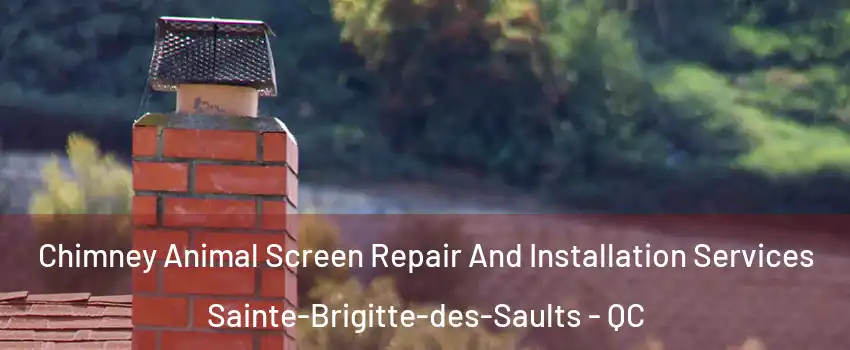  Chimney Animal Screen Repair And Installation Services Sainte-Brigitte-des-Saults - QC