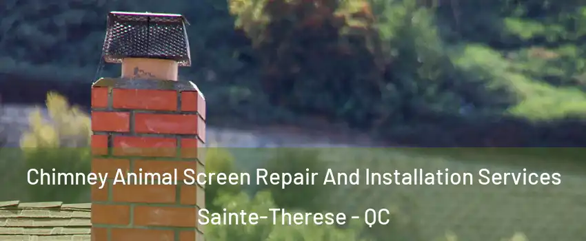  Chimney Animal Screen Repair And Installation Services Sainte-Therese - QC