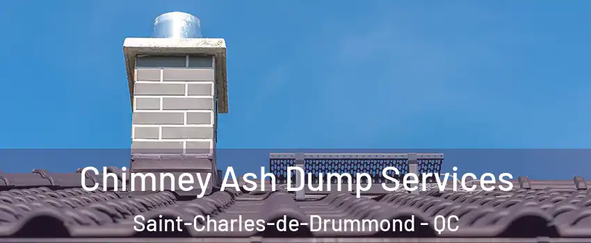  Chimney Ash Dump Services Saint-Charles-de-Drummond - QC