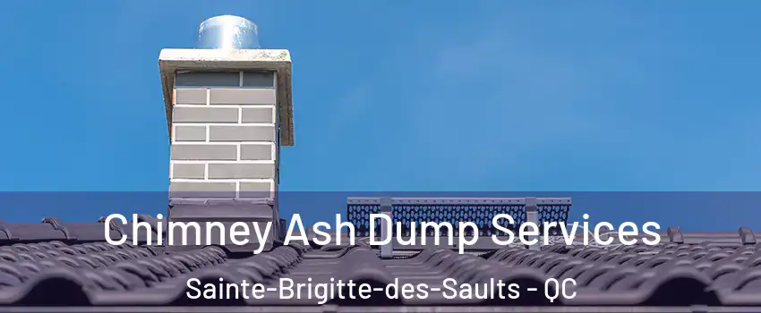  Chimney Ash Dump Services Sainte-Brigitte-des-Saults - QC