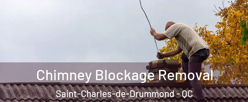  Chimney Blockage Removal Saint-Charles-de-Drummond - QC