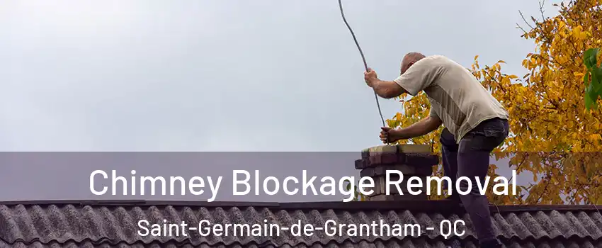  Chimney Blockage Removal Saint-Germain-de-Grantham - QC