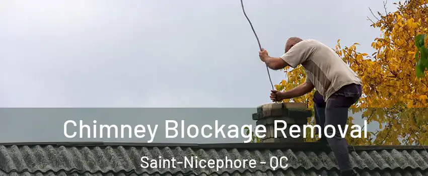  Chimney Blockage Removal Saint-Nicephore - QC