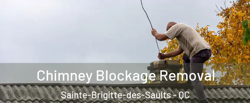  Chimney Blockage Removal Sainte-Brigitte-des-Saults - QC