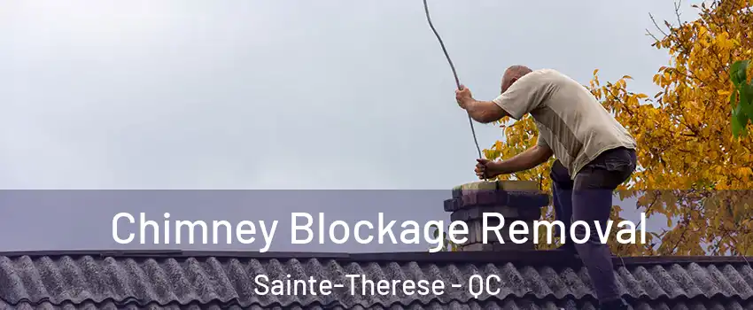  Chimney Blockage Removal Sainte-Therese - QC