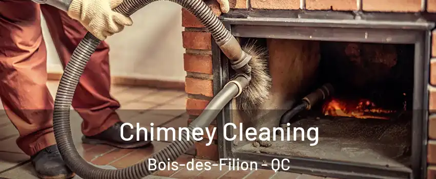  Chimney Cleaning Bois-des-Filion - QC