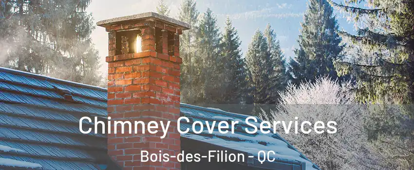  Chimney Cover Services Bois-des-Filion - QC
