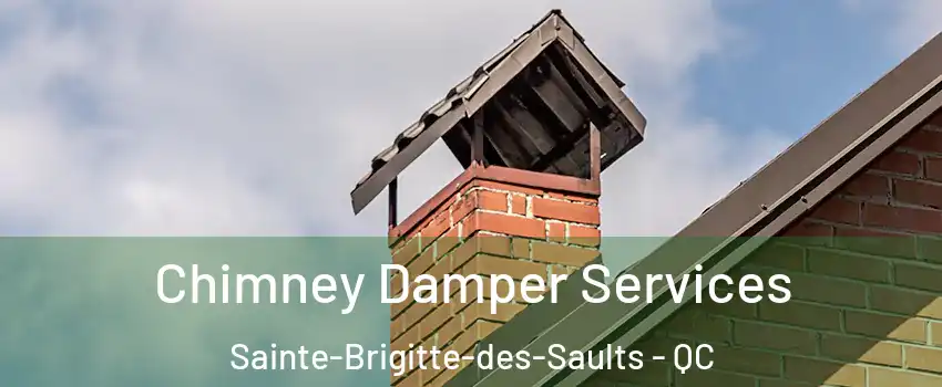  Chimney Damper Services Sainte-Brigitte-des-Saults - QC