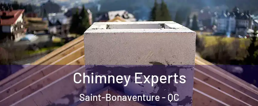 Chimney Experts Saint-Bonaventure - QC
