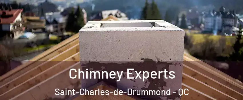 Chimney Experts Saint-Charles-de-Drummond - QC