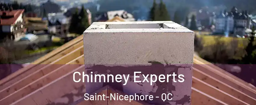 Chimney Experts Saint-Nicephore - QC