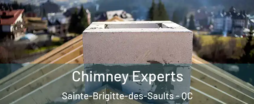 Chimney Experts Sainte-Brigitte-des-Saults - QC