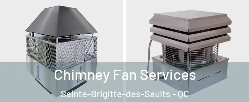  Chimney Fan Services Sainte-Brigitte-des-Saults - QC