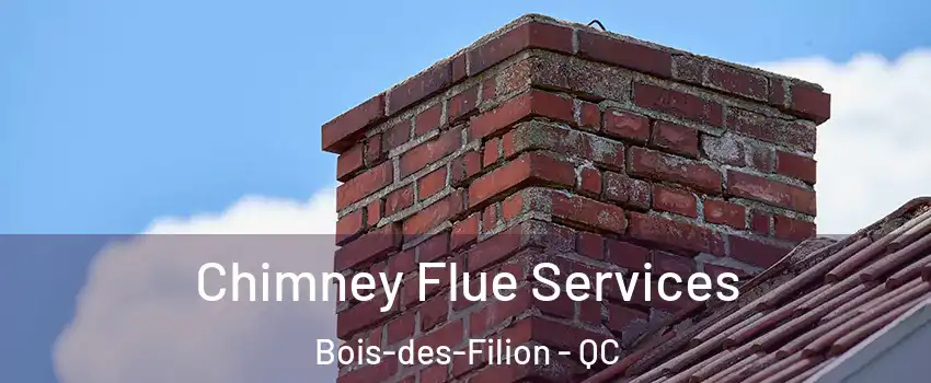  Chimney Flue Services Bois-des-Filion - QC