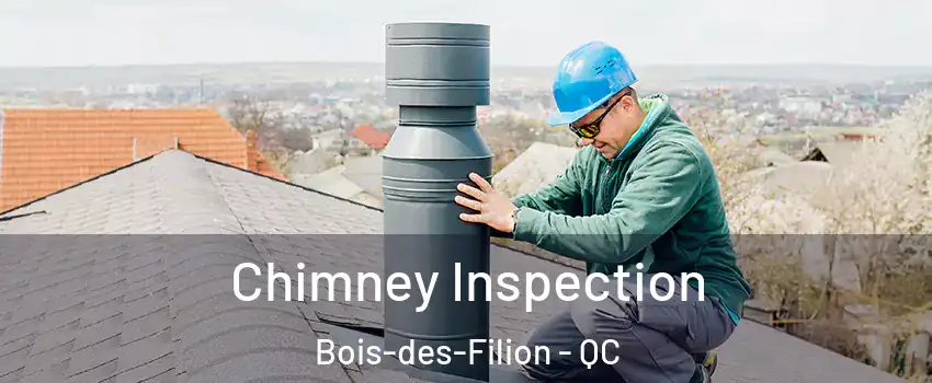  Chimney Inspection Bois-des-Filion - QC