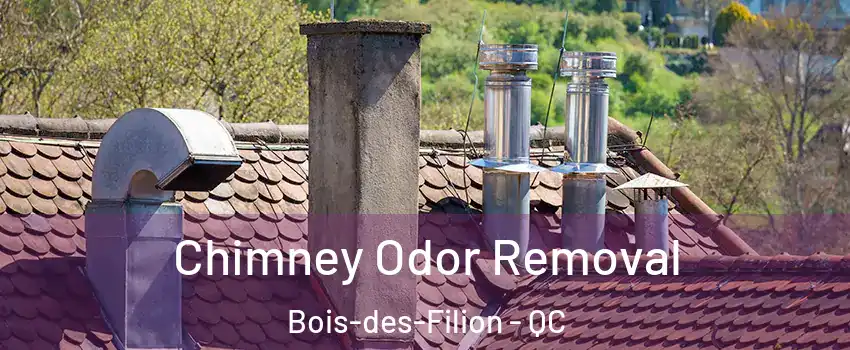  Chimney Odor Removal Bois-des-Filion - QC