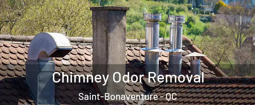  Chimney Odor Removal Saint-Bonaventure - QC