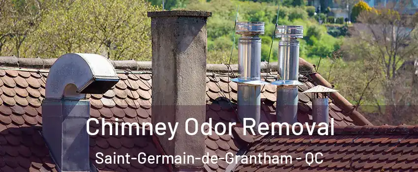  Chimney Odor Removal Saint-Germain-de-Grantham - QC