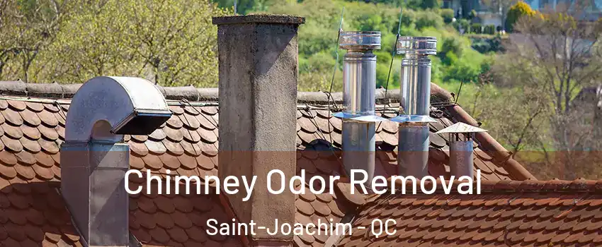  Chimney Odor Removal Saint-Joachim - QC