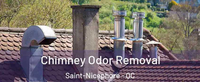  Chimney Odor Removal Saint-Nicephore - QC