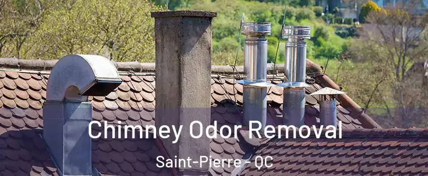  Chimney Odor Removal Saint-Pierre - QC