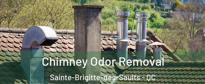  Chimney Odor Removal Sainte-Brigitte-des-Saults - QC