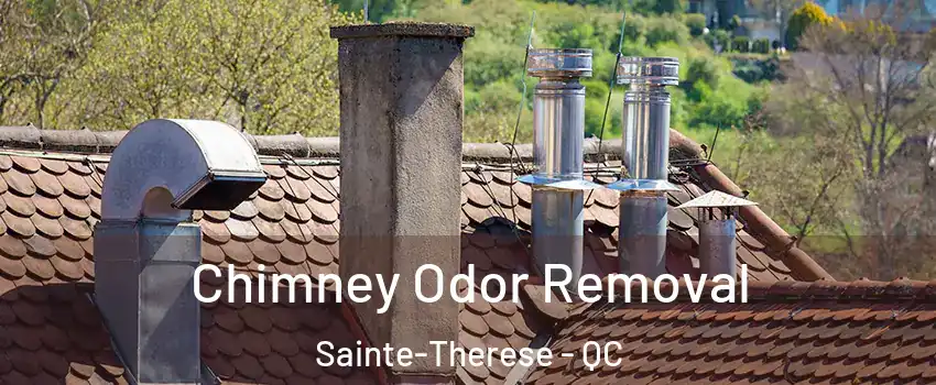  Chimney Odor Removal Sainte-Therese - QC