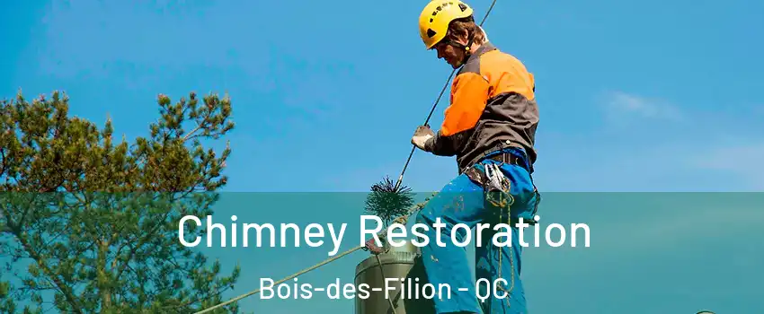  Chimney Restoration Bois-des-Filion - QC