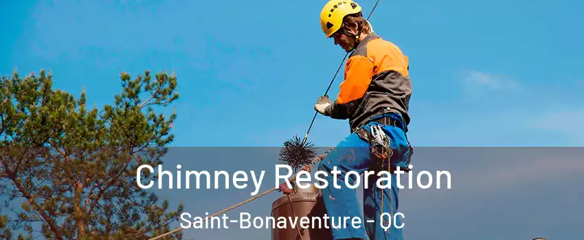  Chimney Restoration Saint-Bonaventure - QC