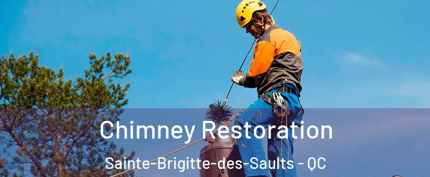  Chimney Restoration Sainte-Brigitte-des-Saults - QC
