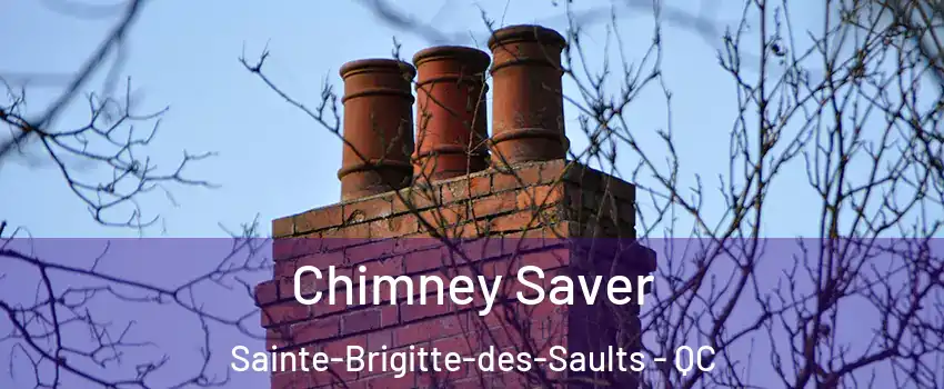  Chimney Saver Sainte-Brigitte-des-Saults - QC