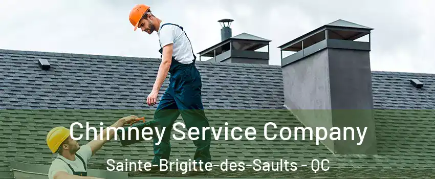  Chimney Service Company Sainte-Brigitte-des-Saults - QC
