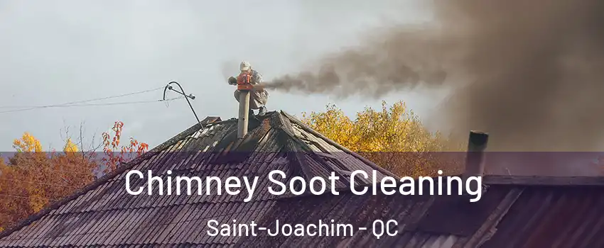 Chimney Soot Cleaning Saint-Joachim - QC