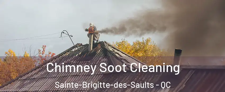  Chimney Soot Cleaning Sainte-Brigitte-des-Saults - QC