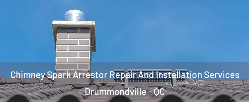  Chimney Spark Arrestor Repair And Installation Services Drummondville - QC