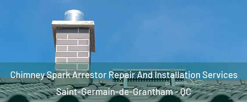  Chimney Spark Arrestor Repair And Installation Services Saint-Germain-de-Grantham - QC