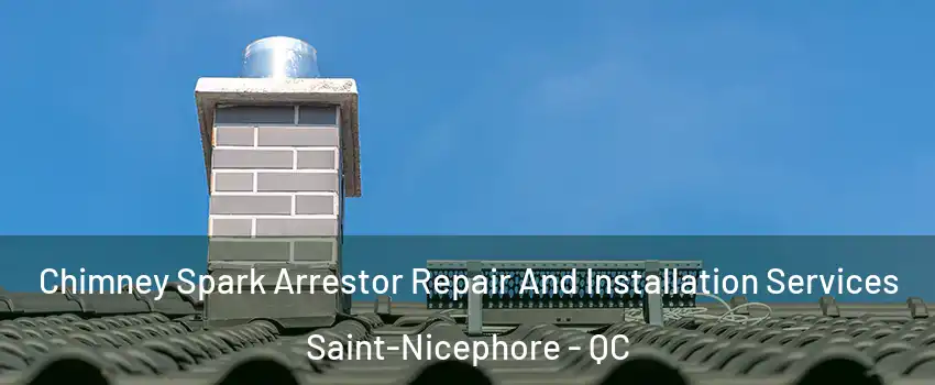  Chimney Spark Arrestor Repair And Installation Services Saint-Nicephore - QC