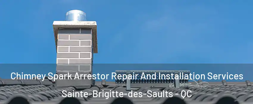  Chimney Spark Arrestor Repair And Installation Services Sainte-Brigitte-des-Saults - QC