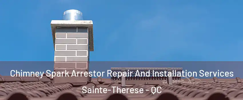  Chimney Spark Arrestor Repair And Installation Services Sainte-Therese - QC